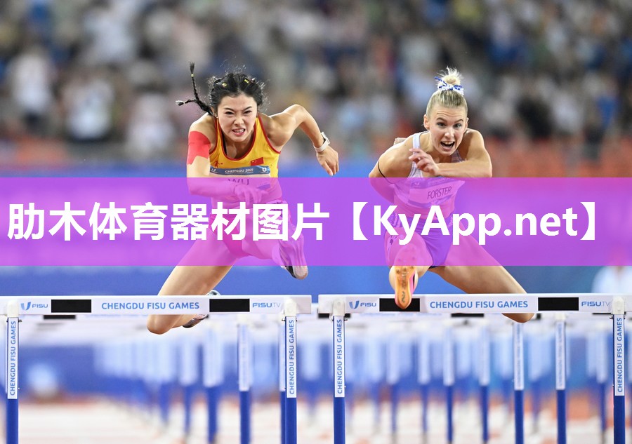 肋木体育器材图片