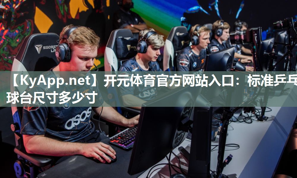 标准乒乓球台尺寸多少寸