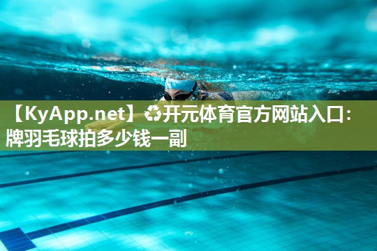 牌羽毛球拍多少钱一副