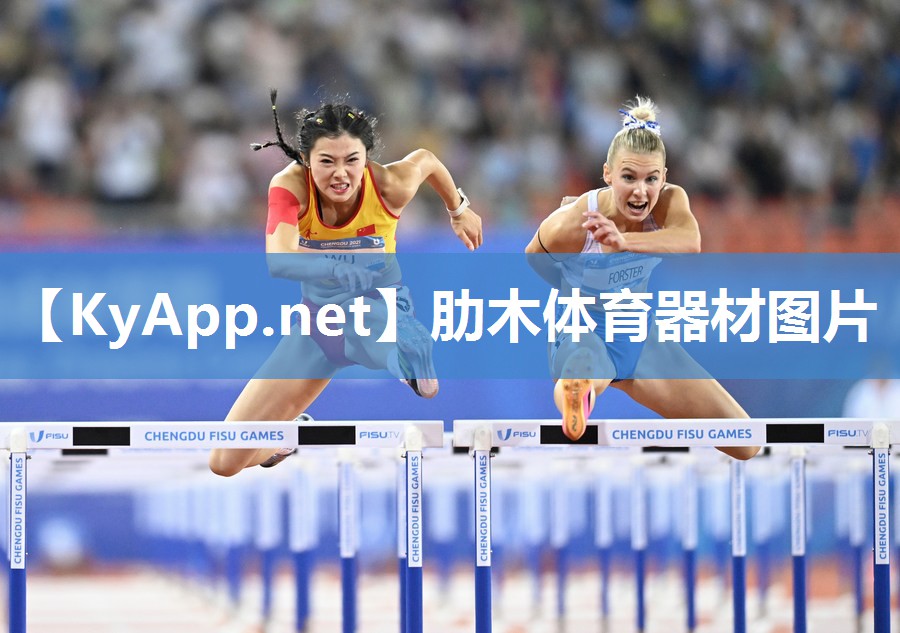 肋木体育器材图片