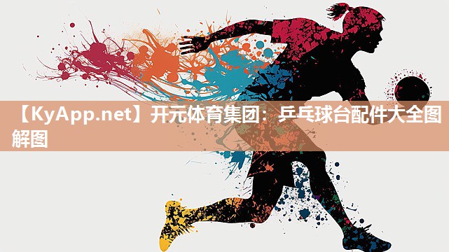 乒乓球台配件大全图解图